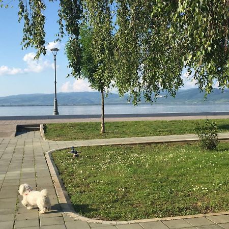 Apartmani Vidikovac Golubac Exterior foto