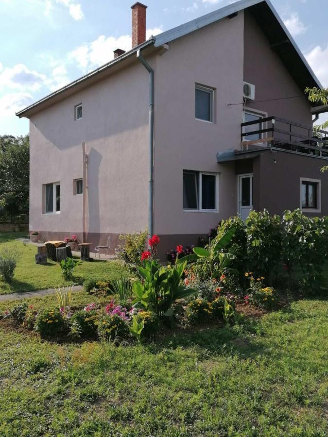 Apartmani Vidikovac Golubac Exterior foto