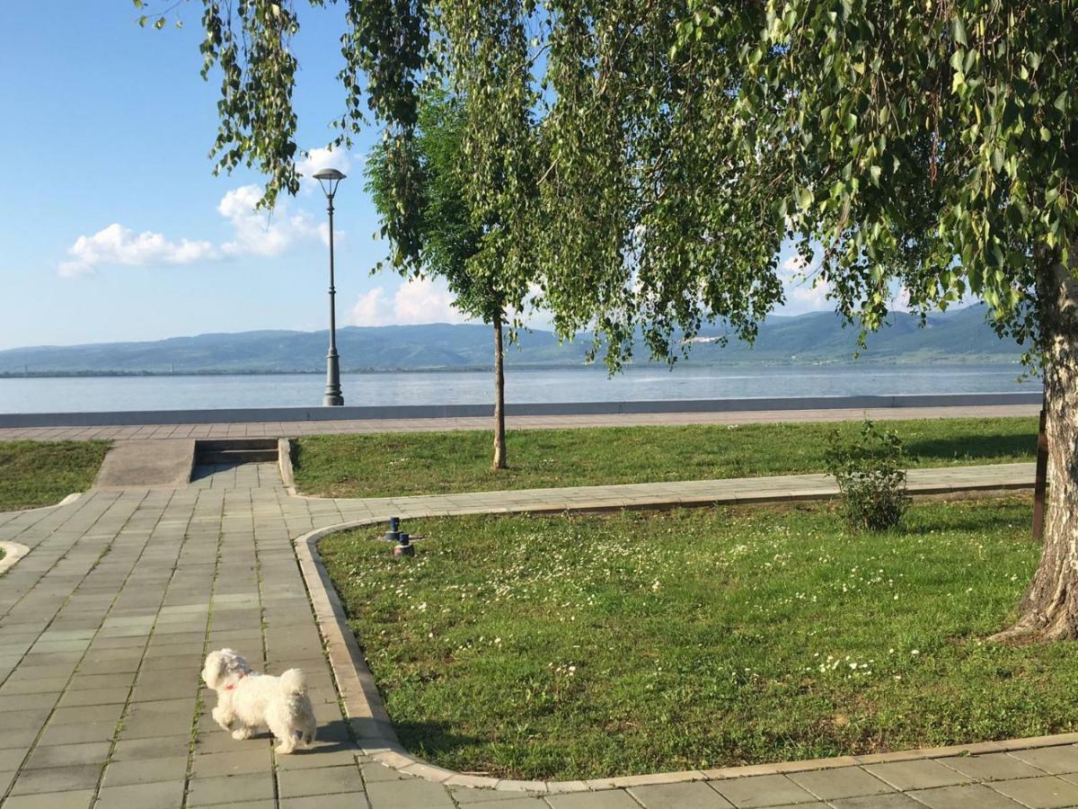Apartmani Vidikovac Golubac Exterior foto
